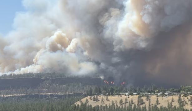 Gawat, 100 Ribu Hektare Lahan Terbakar Di Washington, Ribuan Warga Dievakuasi